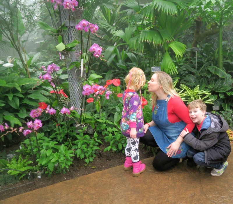 making the most of spring at wisley gardens