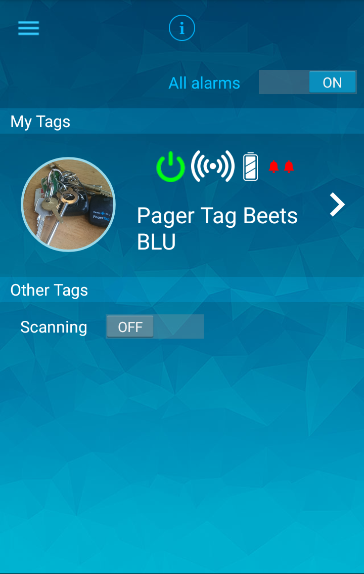 beets blu pager tag key finder review