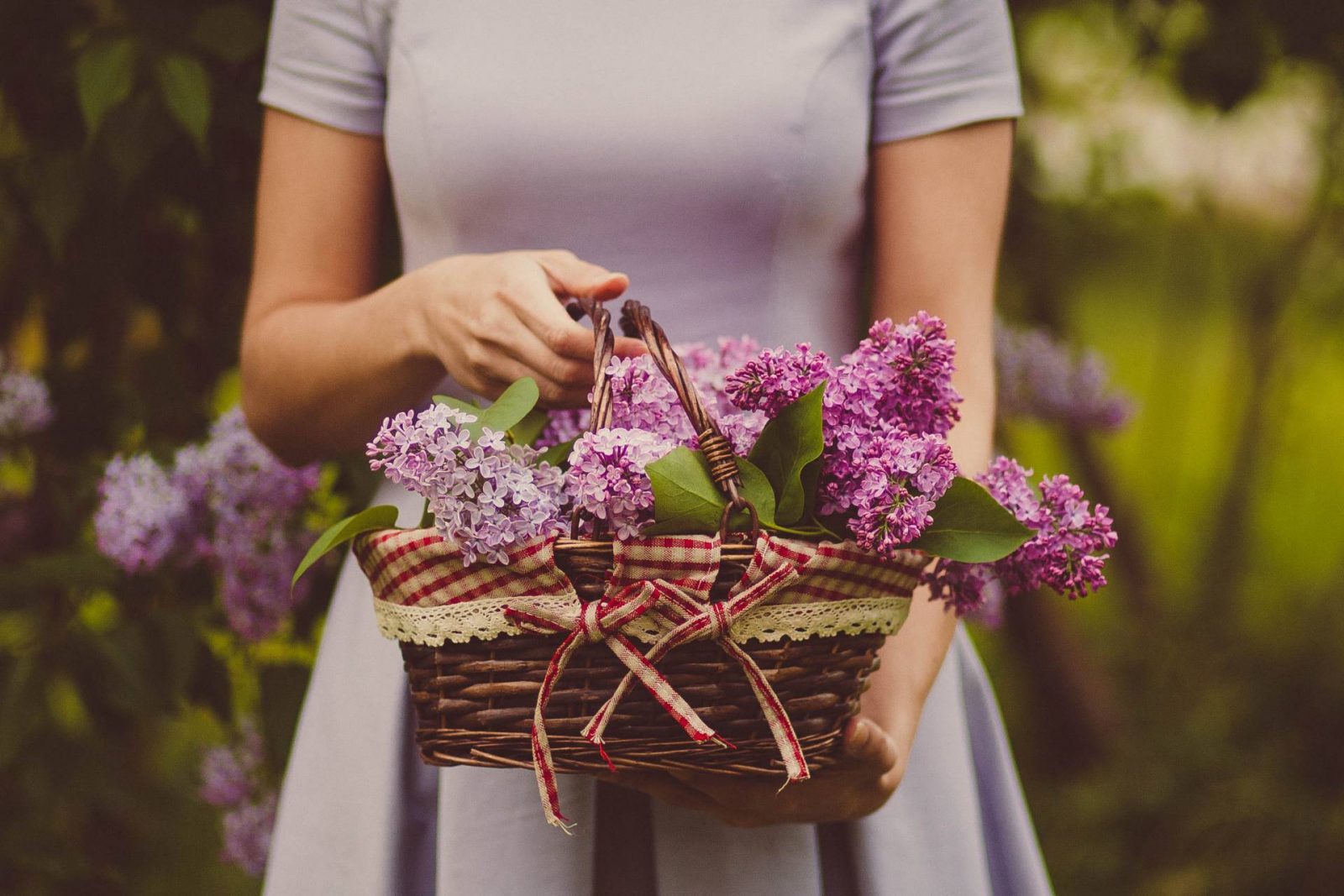 5 Steps To Create A Low-Maintenance Garden