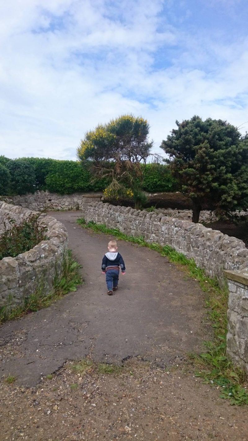 Making memories at the seaside and the sunken garden at Westgate on Sea, Kent. We also reviewed and collected samples for the Interplay Pocket Microscope.