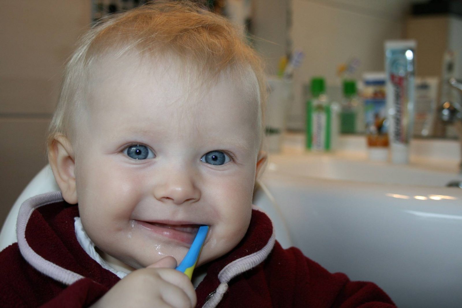 brushing-teeth-First_visit_to_the_dentist