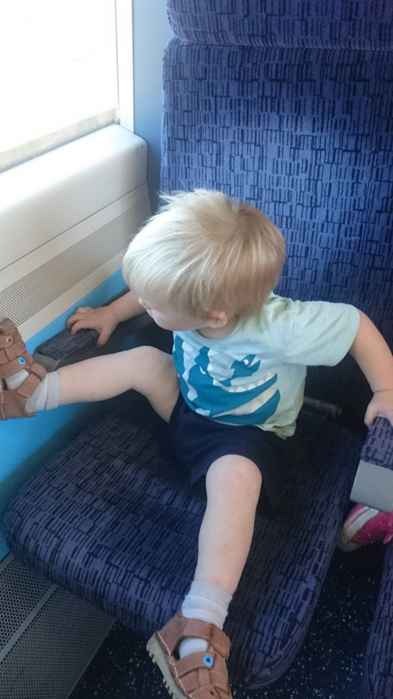 How do you keep your toddler amused on the train? Read my tongue in cheek guide to train travel with a toddler in tow. Firstly, don't go if you can help it!