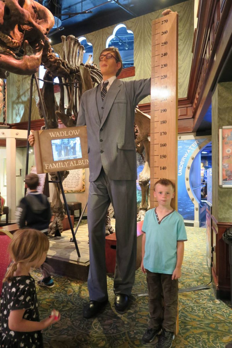 All about our day out to London, and Ripley's Believe it or not. Read and see what we saw.