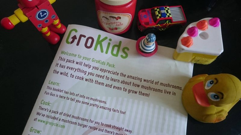 Watch them grow! This amazing mushroom kit is so easy to use and educational for the kids - see how they grow in this awesome time lapse video!