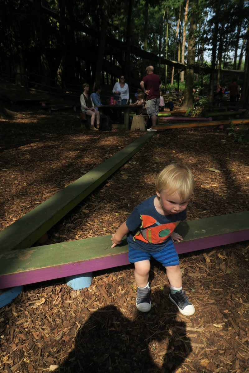 A day out at Bewilderwood, Norwich, Norfolk, days out in Norfolk.