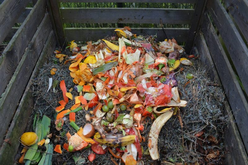 Gardening: How To Prepare Your Garden Ready For Autumn and Winter