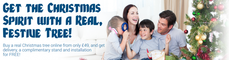christmas-tree-fantastic-services
