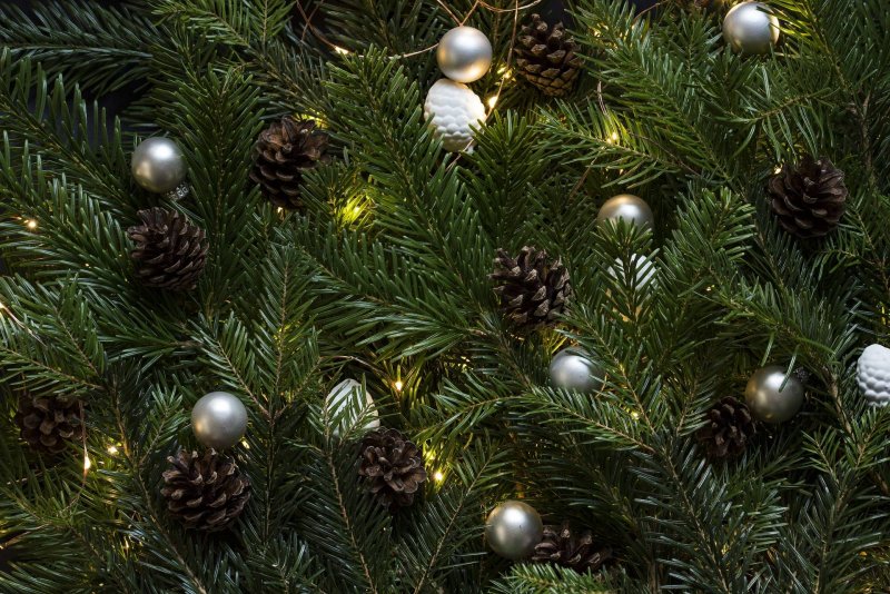 christmas-tree-how-to-choose-midwifeandlife.com