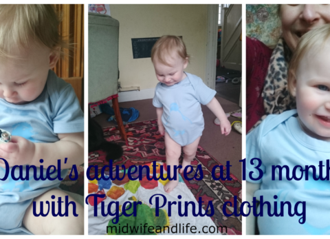 midwife and life review tiger prints clothing and an update on us at 13 months