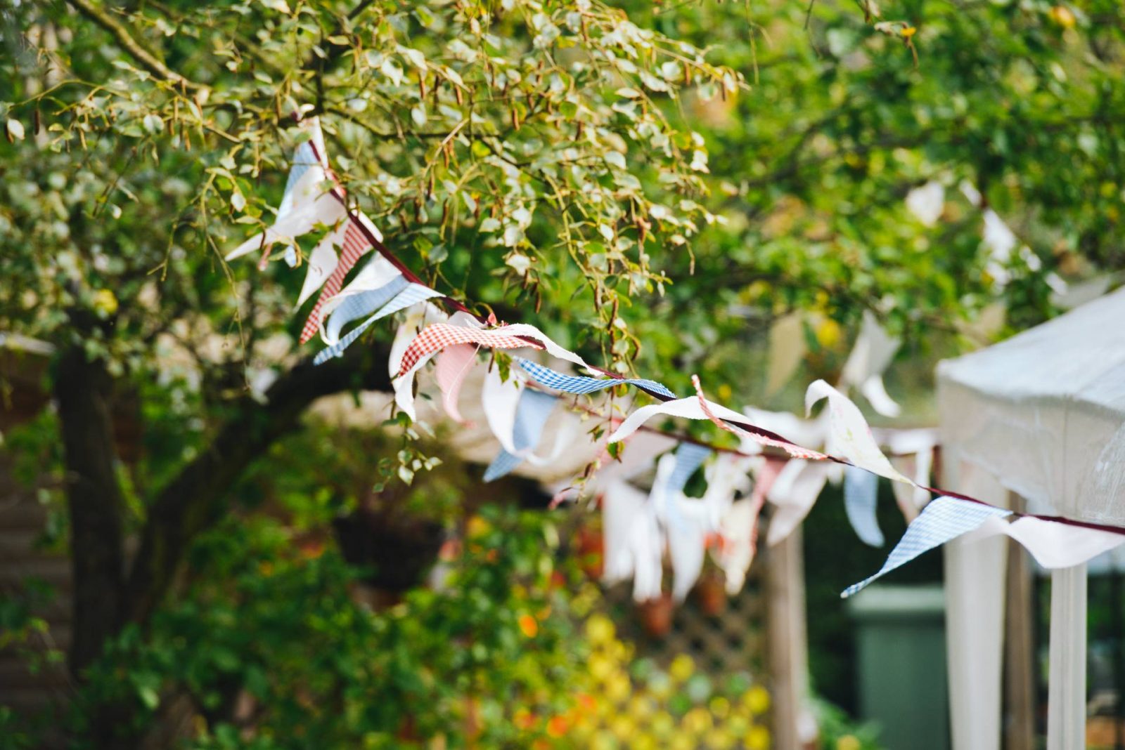 5 Steps To Create A Low-Maintenance Garden