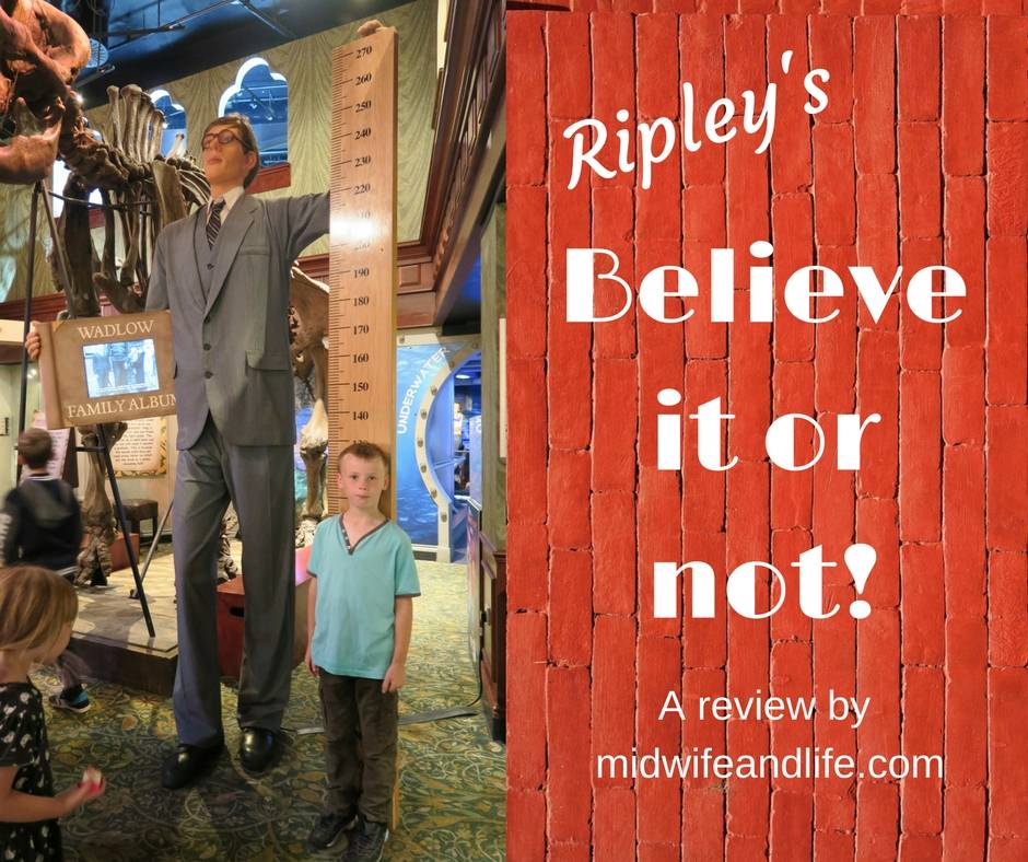 All about our day out to London, and Ripley's Believe it or not. Read and see what we saw.