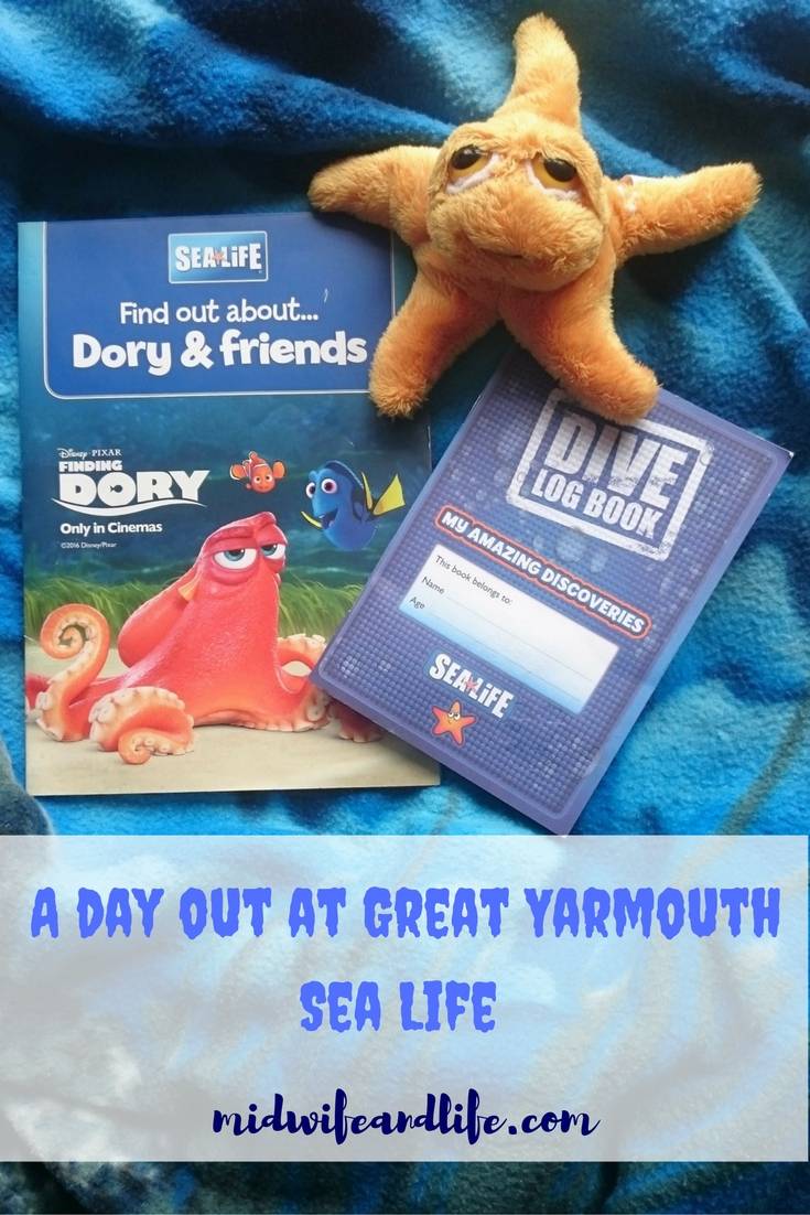 A day out at Great Yarmouth Sea Life Centre, our thoughts - worth a visit?