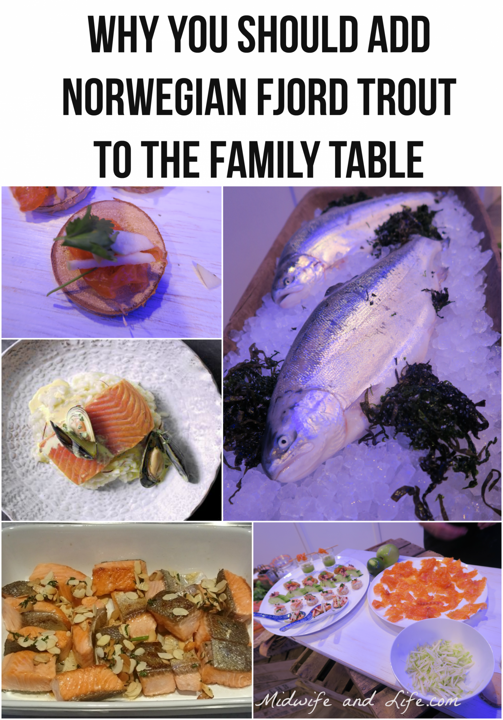 This fish is so unique in it's delicate flavours, your children will be asking for more more more!