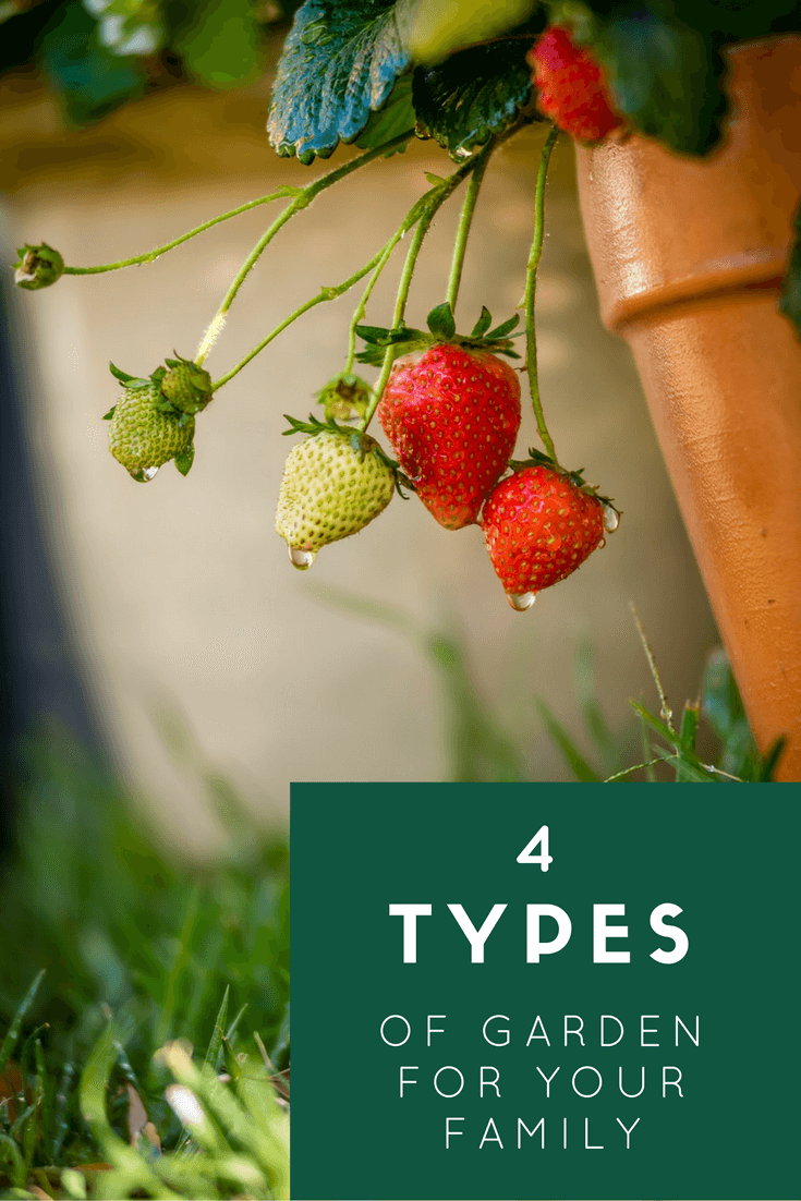 Are you low maintenence, family or sociable? How can you achieve each look? Click to read about the garden goals of 4 different types