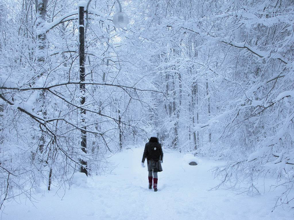 What are your winter essentials?