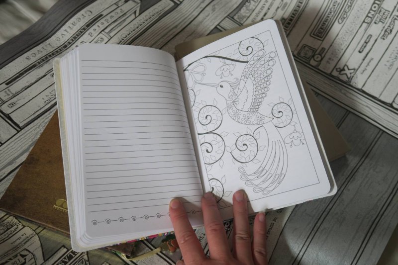 doodle-collections-notebook-journal-planner-diary-bullet-journal