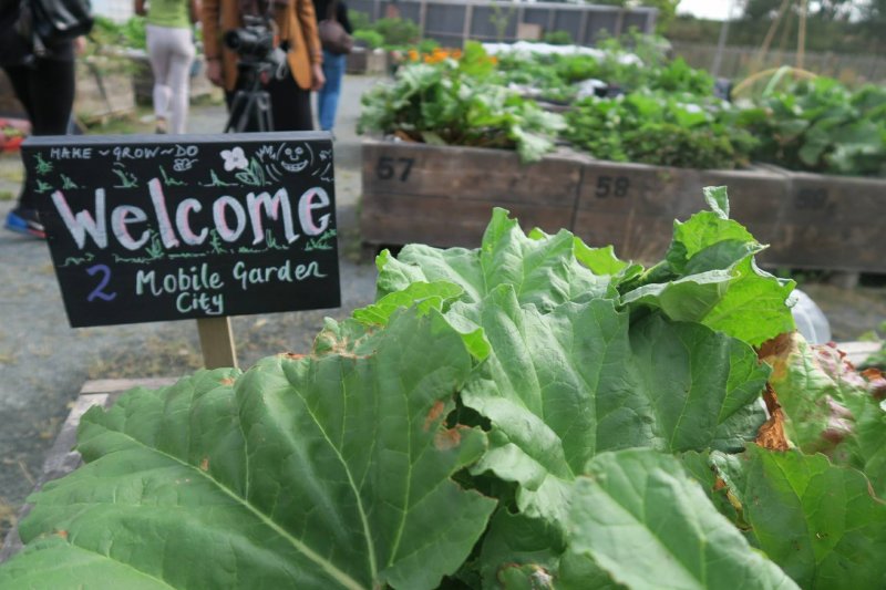 hones-tea-event-mobile-garden-city-julia-bradbury-midwifeandlife.com
