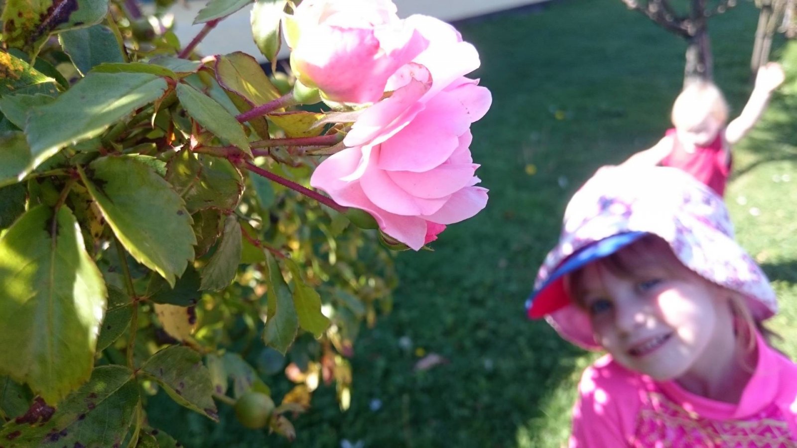 summer-happy-gratitude-grateful-parenting-blog-uk-blogger-top