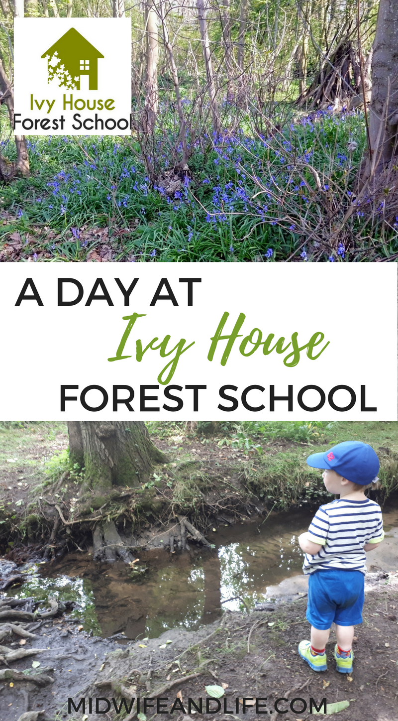 We explore the wonders of the forest guided by experts at Ivy House Forest School, Maidstone - read all about our day and find out about the school!