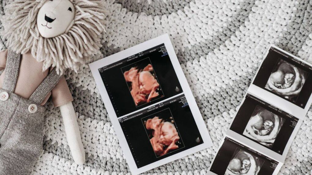 the ultimate list of pregnancy freebies for the uk