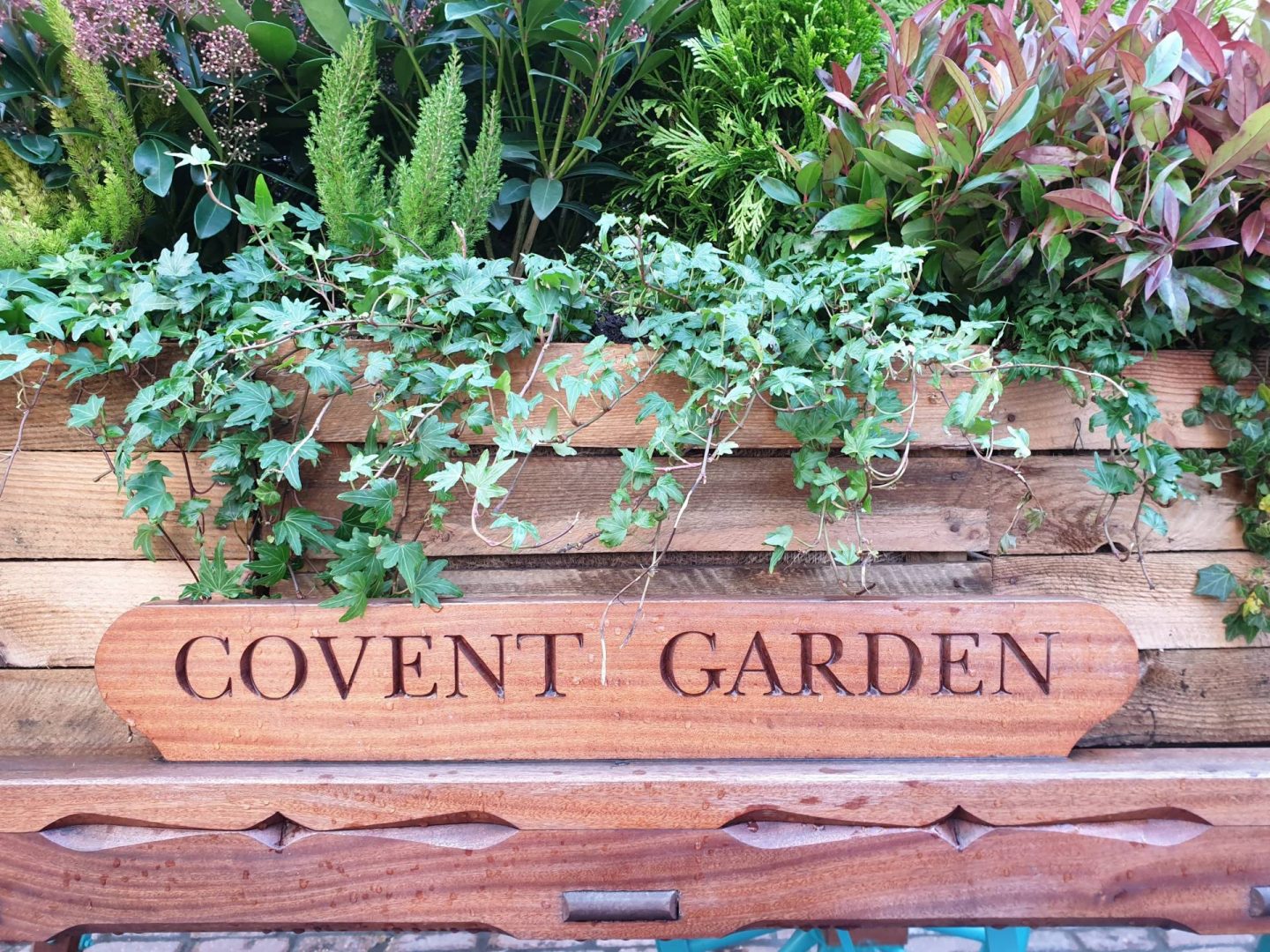covent garden flower barrel