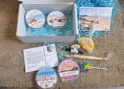 teddy eva scents wax melts review