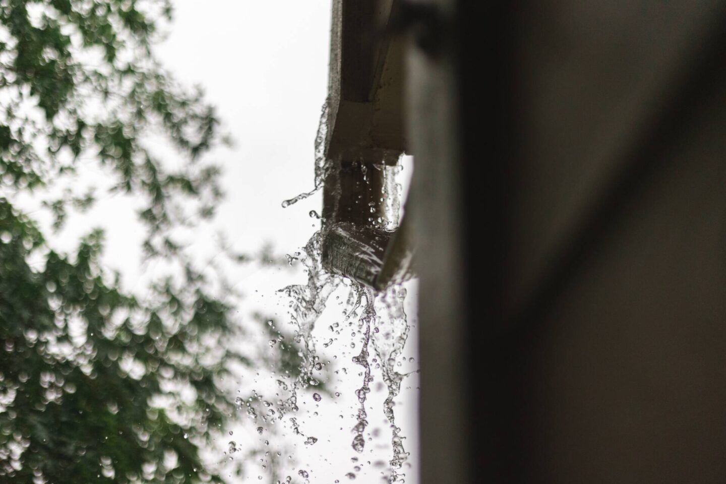 guttering overflowing on a domestic roof. Trees visible.