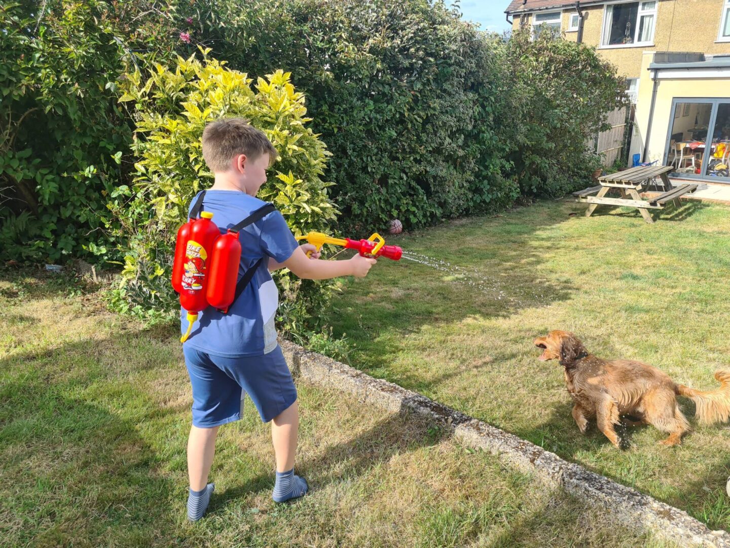boy in garden playing with water toy and cocker spaniel