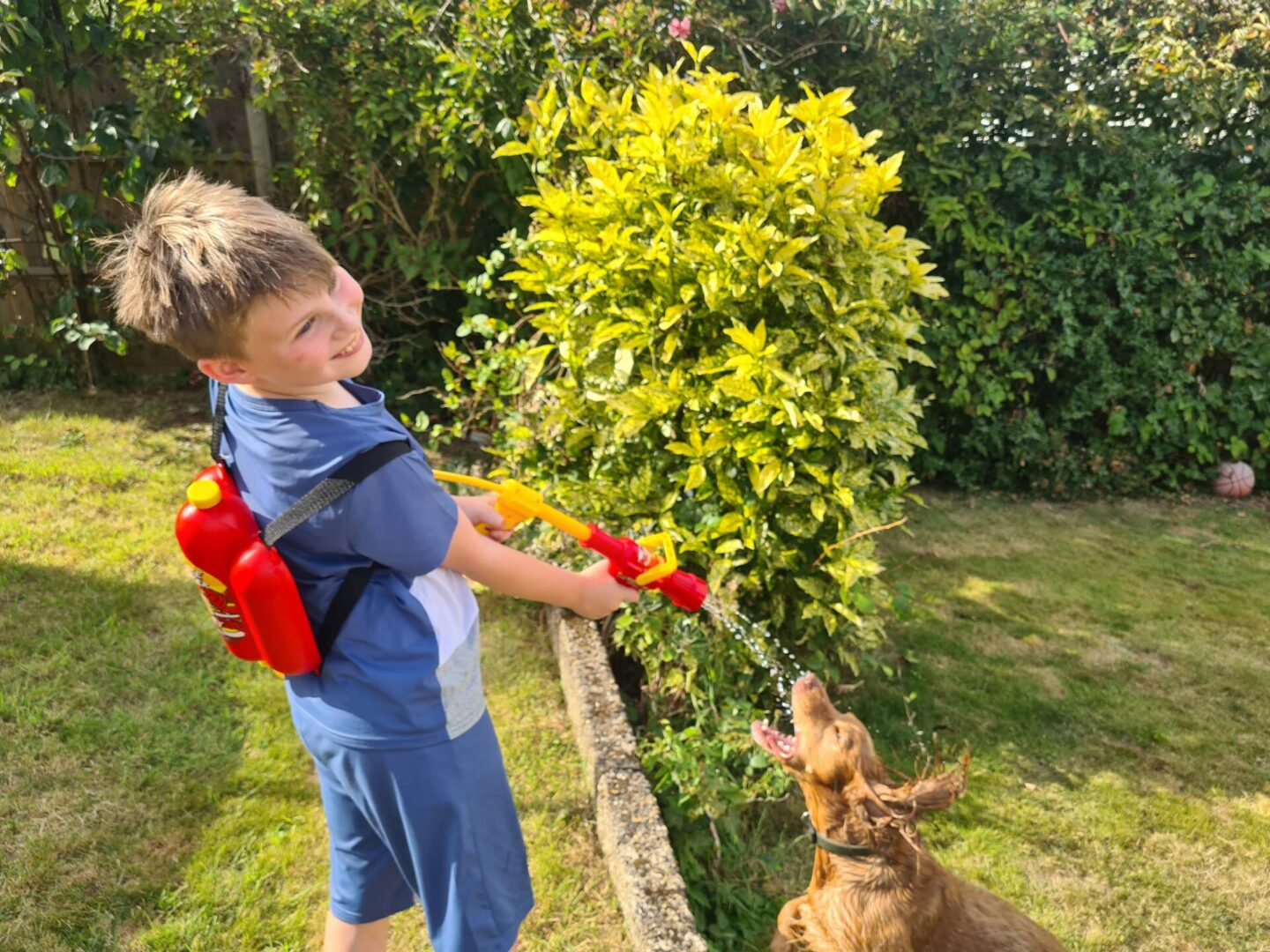boy playing in garden with fireman water sprayer and dog spaniel